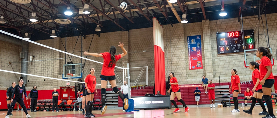 Volleyball team playing a game