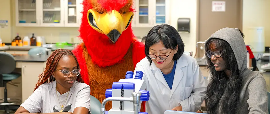 Next Steps for New Students Banner Image