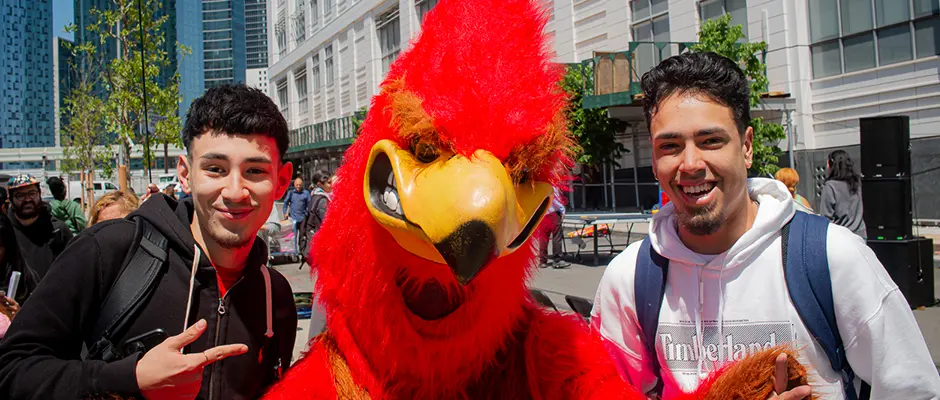 Next Steps for New Students Banner Image